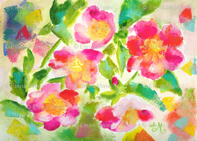 rock roses