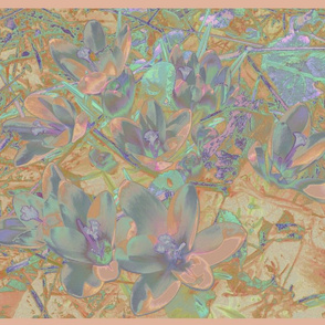 Autumn Crocus © Gingezel™ 2010