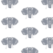 Grey Elephant