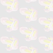 Rfloralspread4_shop_thumb