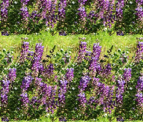 Rrrrlupine1-2486-fabric-rpt-print_shop_preview