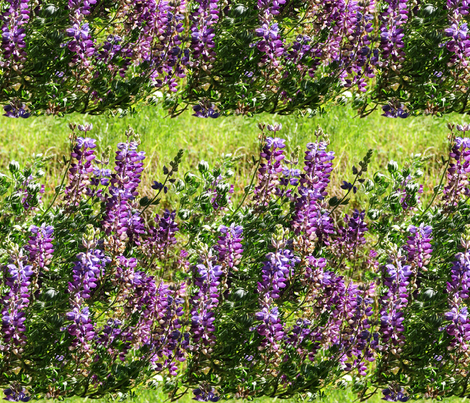 California lupines fabric by mina on Spoonflower - custom fabric