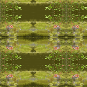 Mushrooms in the marsh