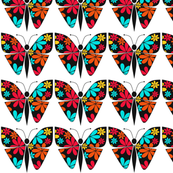 Black Butterflies