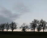 Rimg_0108_thumb
