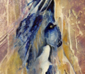 For the Birds