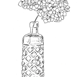 White Hydrangea