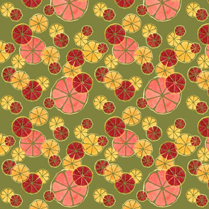 Citrus_Olive