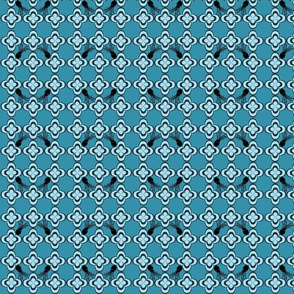 Squid-e