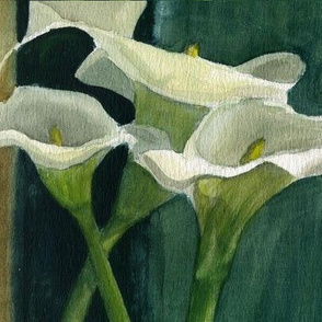 Delicate Lillies