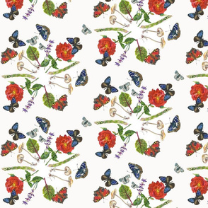 Asparagus & Roses