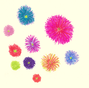 Flora Flower Pompons