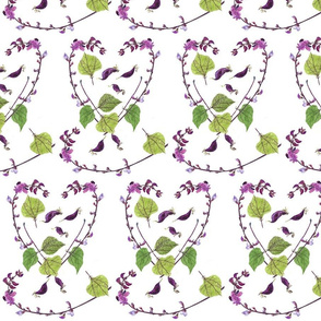 Hyacinth Bean