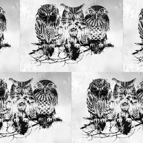 owls_winter_bw