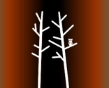 A_reflection_of_trees_boarder_thumb