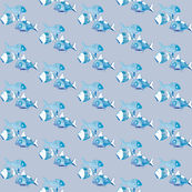 blue fish