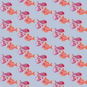 Fish School orange