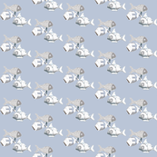 White fish 