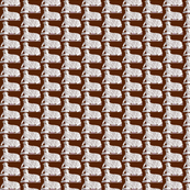 Sheep 4
