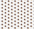charming ladybug-ch