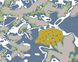 Boxfish Pattern 9