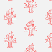 Crawfish pink on pale grey