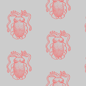 Cuttlefish pink on grey