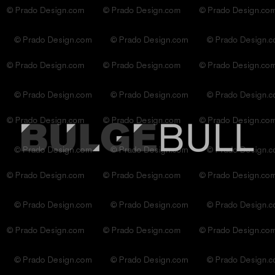 BULGEBULL 3