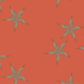 starfall (tomato)