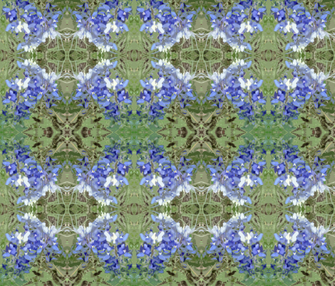 Texas Bluebonnets 