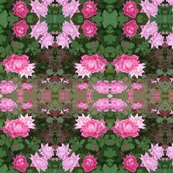 Rrrroses3_shop_thumb