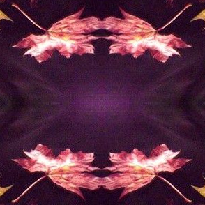 Dancing Leaves