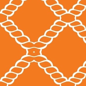ROPED-Orange
