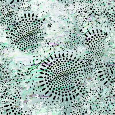 seeds