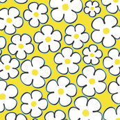 daisy_yellow