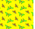 tokyo-butterfly/flock-jays