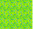 shanghai-vine/twinkle-forest