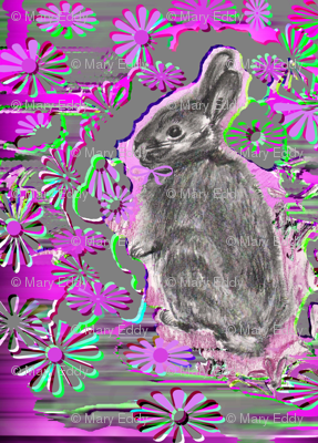 Bunny Garden