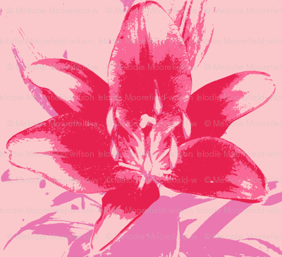 pink lily