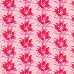 pink lily