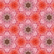 red stars