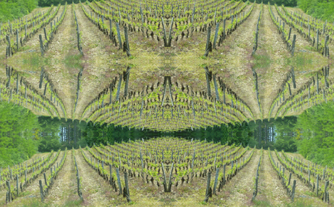 Grapeland fabric by susaninparis on Spoonflower - custom fabric