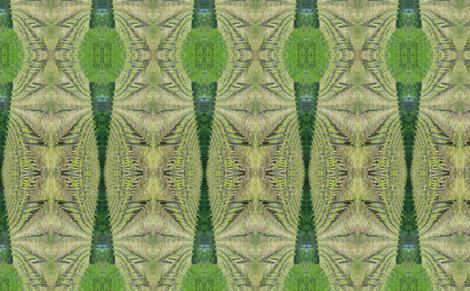 Fruit of the Vine fabric by susaninparis on Spoonflower - custom fabric