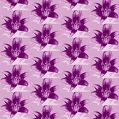 Rrrcharlottelily_shop_thumb