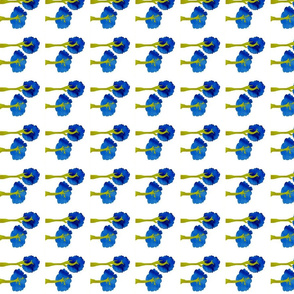 border_trees