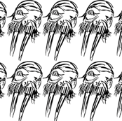 Walrus