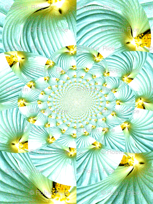 Falling into the Flower II