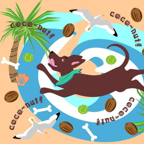 coconut_dog