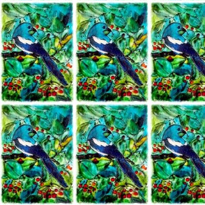 magpie
