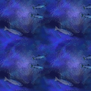 Salmon Fishing